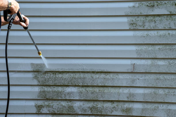 Best Siding Maintenance  in USA